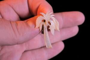 vintage carved mother-of-pearl palm tree brooch